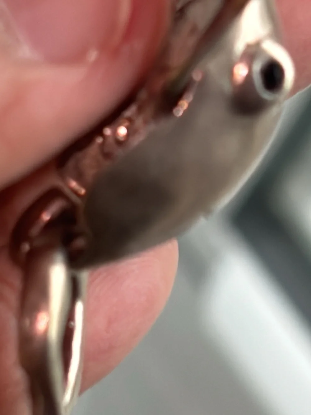 Vintage Sterling Silver Frog Brooch